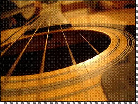 8075445_c8b558d3a8
