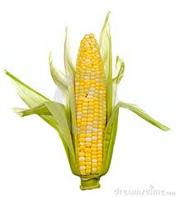 http://t1.gstatic.com/images?q=tbn:ANd9GcRm-7l6YhmZGbzFbvNYh0uWc1mseHz-y8CikskgAjePAK2cPmla